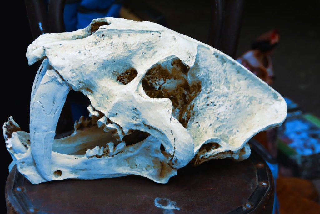 What fear lives in antiquity?