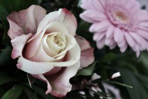 (Image by <a href="https://pixabay.com/users/swantjebiehler-20244924/?utm_source=link-attribution&utm_medium=referral&utm_campaign=image&utm_content=6006319">swantjebiehler</a> from <a href="https://pixabay.com//?utm_source=link-attribution&utm_medium=referral&utm_campaign=image&utm_content=6006319">Pixabay</a>)